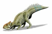 An artists reconstruction of Leptoceratops.  By Nobu Tamura